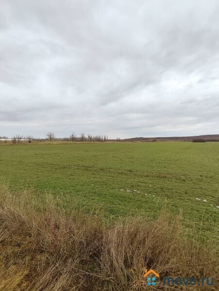 земля с/х назначения, 152.98 га