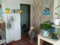 Продаю однокомнатную квартиру, 30 м², этаж 4 из 4. Фото 3