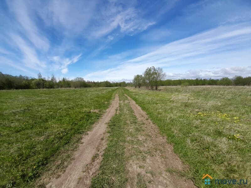 земля с/х назначения, 13.19 сотки