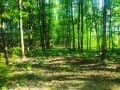 земля под ИЖС, 6.44 сотки