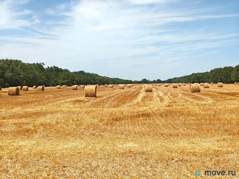 земля с/х назначения, 1000 га