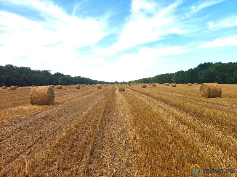 земля с/х назначения, 1000 га