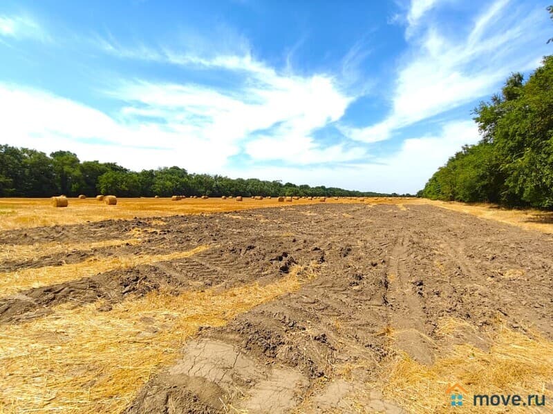 коммерческий участок, 1000 га