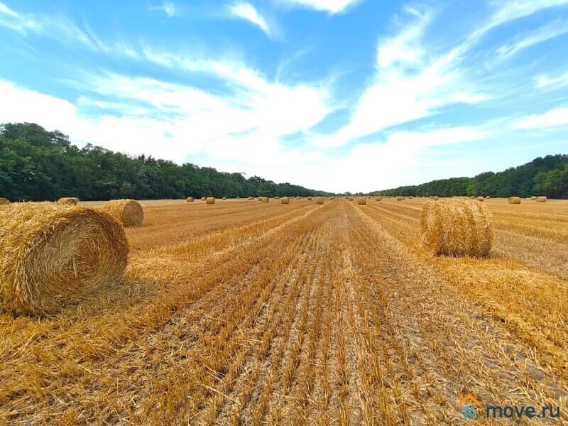 коммерческий участок, 1000 га