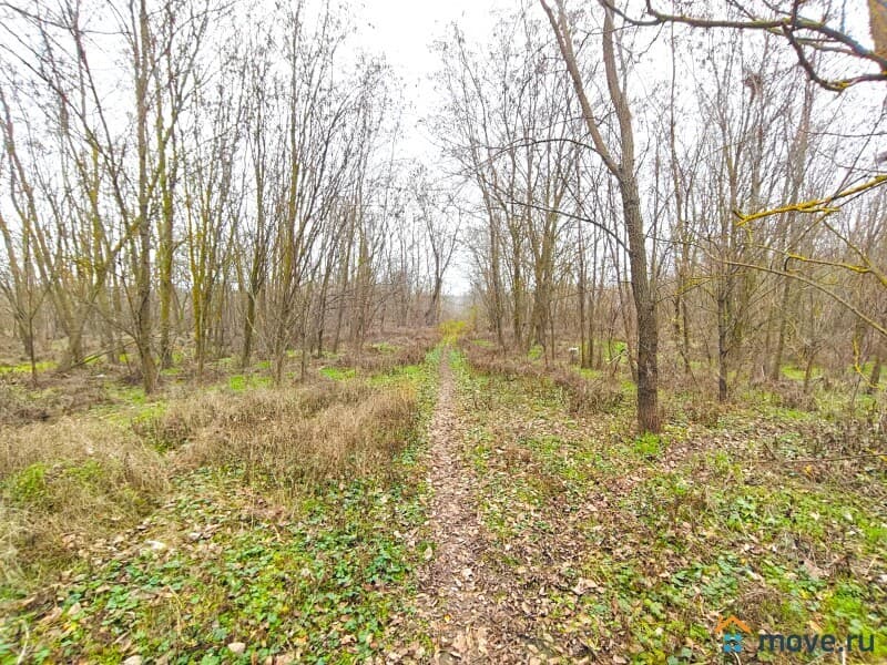 земля под ИЖС, 6 соток