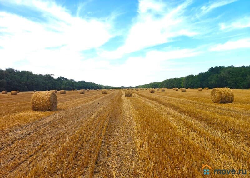 земля с/х назначения, 4935 га