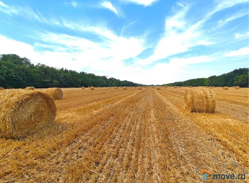 земля с/х назначения, 2650 га
