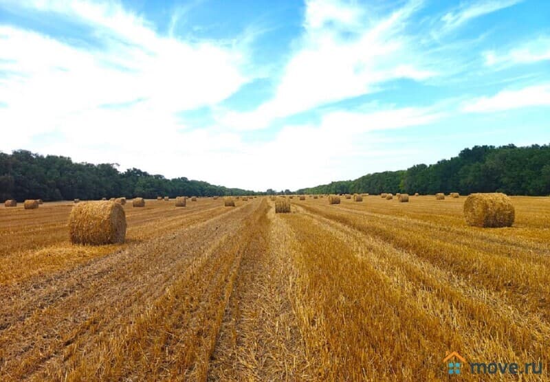 земля с/х назначения, 2650 га