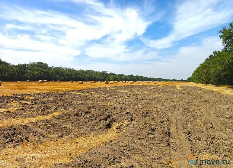 коммерческий участок, 2650 га