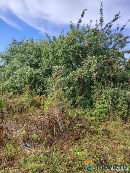 земельный участок, 11 соток