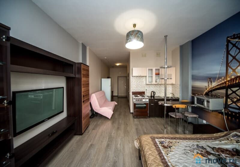 1-комн. квартира, 24 м²