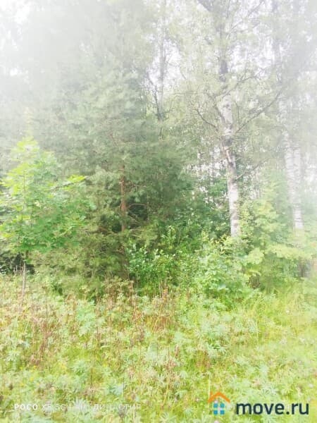 земельный участок, 0.65 га