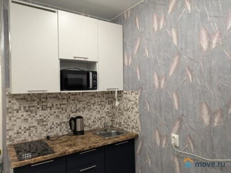 Сдается студия, 24.5 м&sup2;, Мурино, улица Шоссе в Лаврики, 67