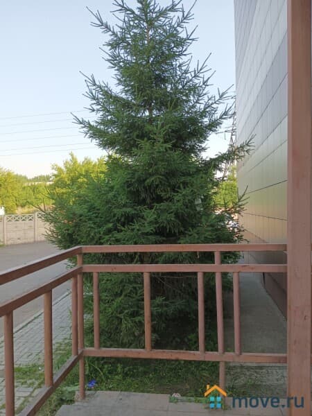 студия, 22 м²
