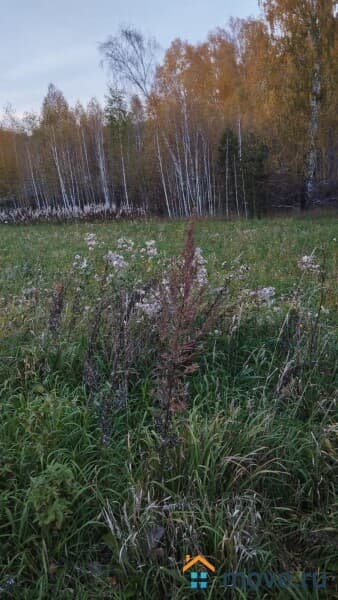 земля под ИЖС, 12 соток