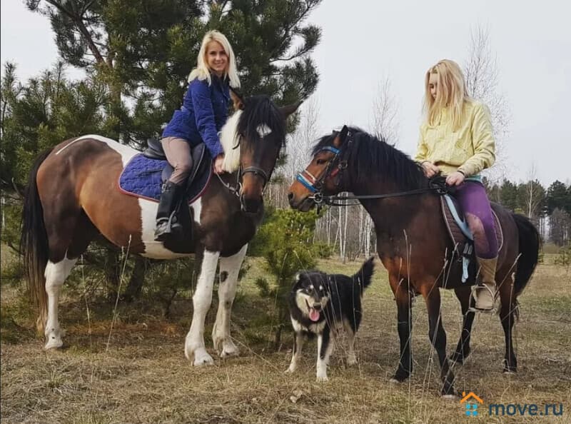 земля с/х назначения, 0.8 га