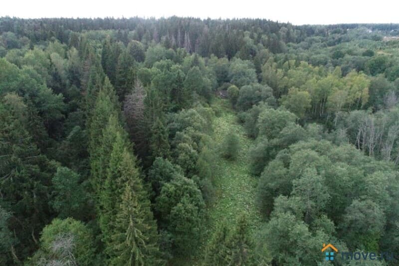 земля промышленного назначения, 7 га