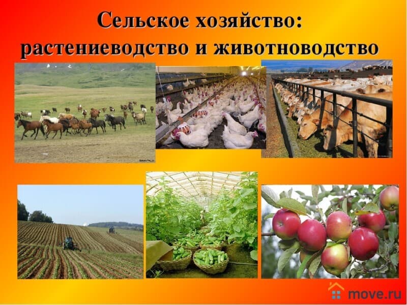 земля с/х назначения, 50 га