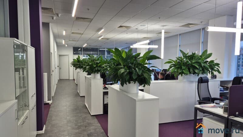 офис, 562 м&sup2;