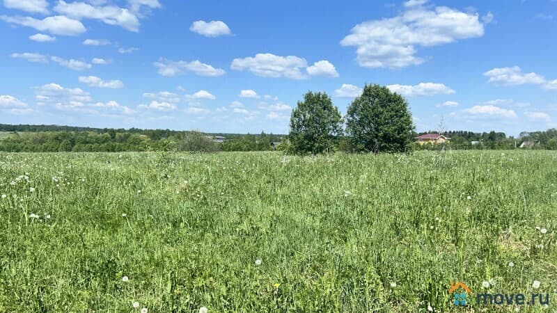 земля с/х назначения, 5.9 га