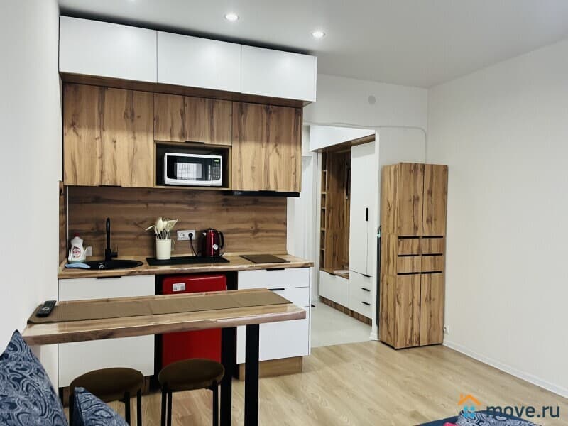 1-комн. квартира, 19.8 м&sup2;