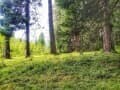 Продажа земли под ИЖС, 12 соток. Фото 18
