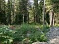 Объявление о продаже коммерческого участка, 10 соток. Фото 16