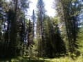 Объявление о продаже коммерческого участка, 10 соток. Фото 26