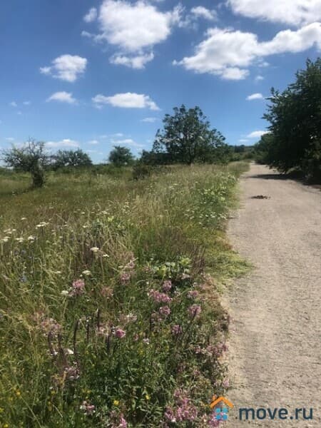 земля с/х назначения, 3.9 га