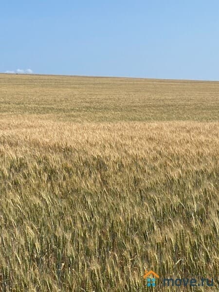 земля с/х назначения, 6.3 га