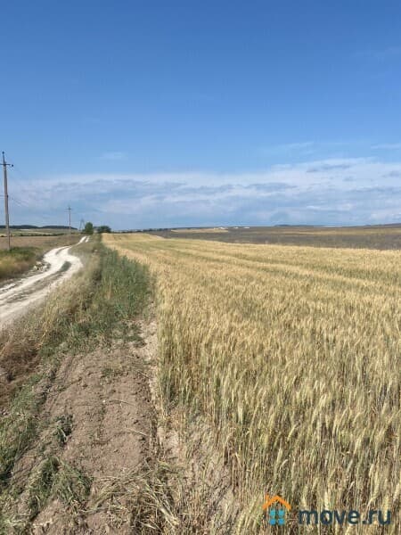 земля с/х назначения, 6.3 га