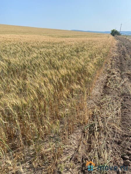 земля с/х назначения, 6.3 га