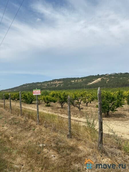 земля с/х назначения, 1.55 га