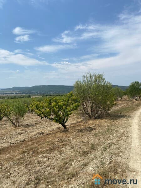 земля с/х назначения, 1.55 га