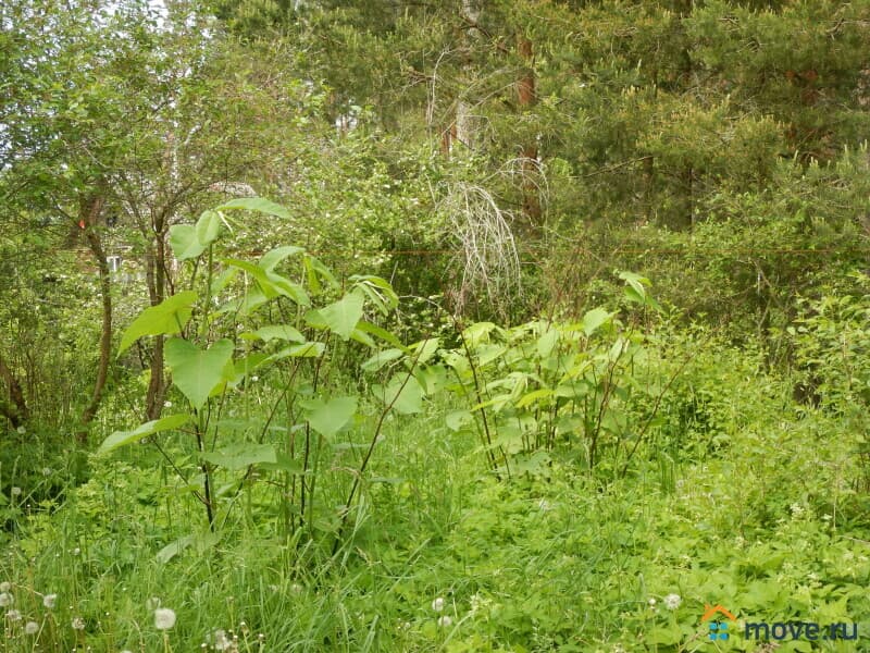 дом, 53.6 м&sup2;