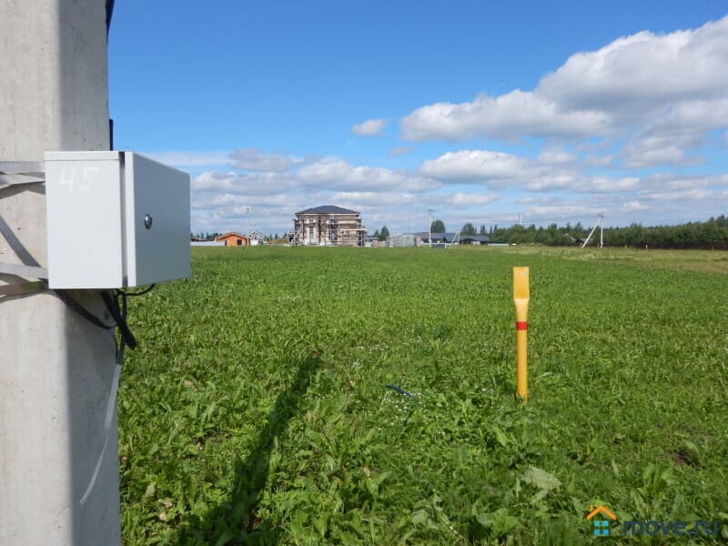 земля с/х назначения, 12.5 сотки