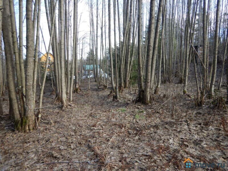 земельный участок, 12 соток