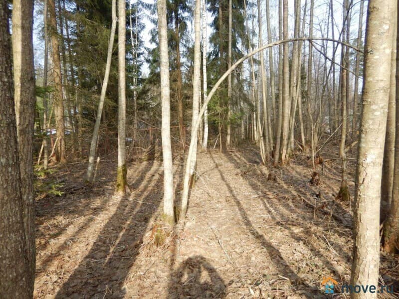 земельный участок, 12 соток