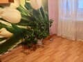 Аренда однокомнатной квартиры, 31 м², этаж 3 из 5. Фото 2