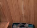 Объявление о продаже трехкомнатной квартиры, 125 м², этаж 5 из 5. Фото 14