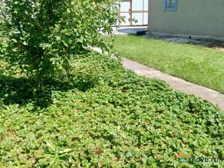 Продам дачу, 80 м&sup2;, Магнитогорск, Снт Ремонтник, 291