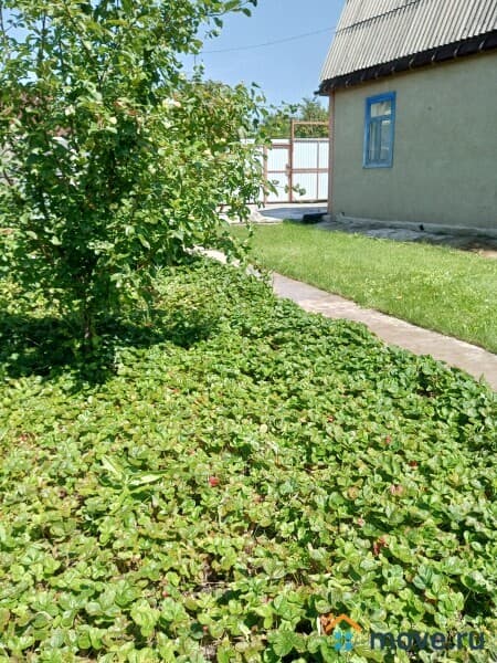 дача, 80 м&sup2;