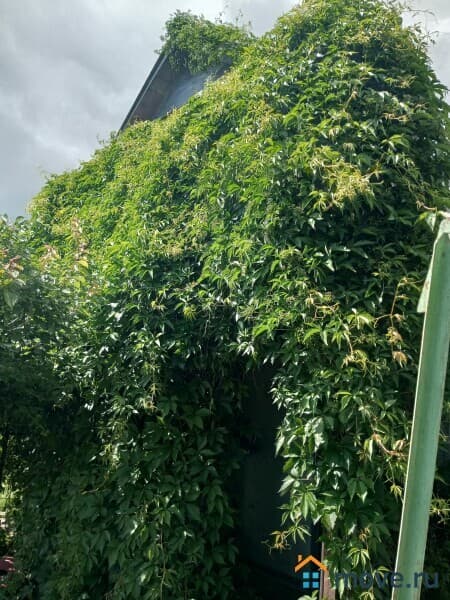 дача, 80 м&sup2;