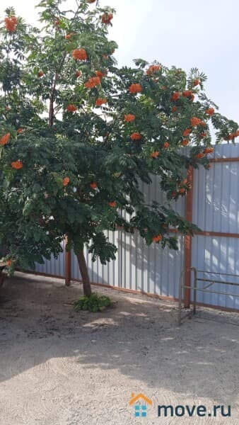 дача, 80 м&sup2;