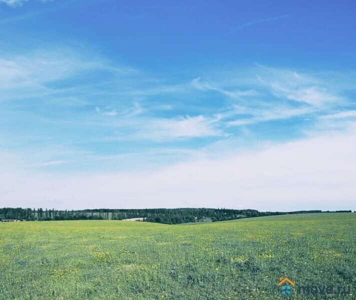 земля с/х назначения, 24.8 га