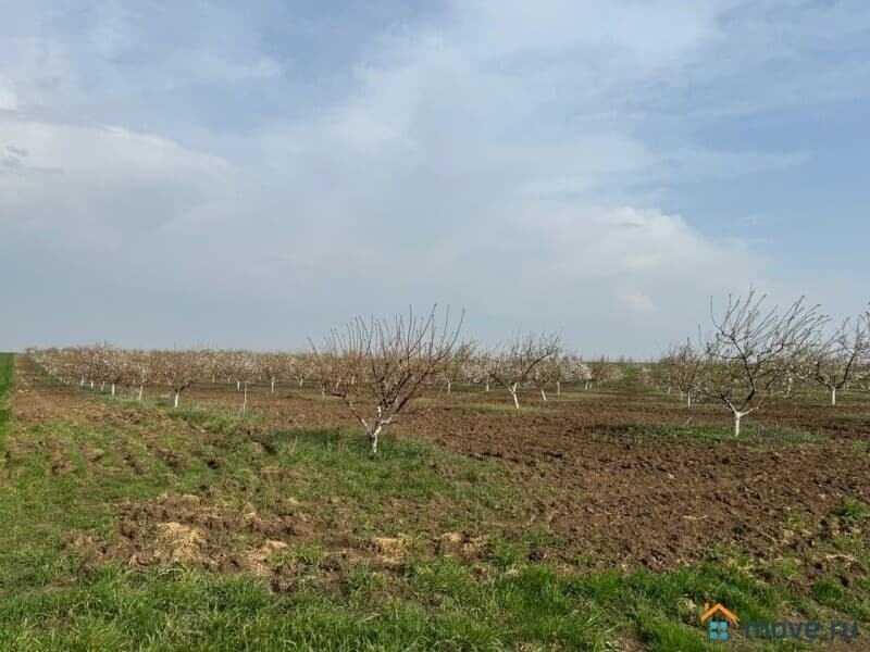 земля с/х назначения, 4.6 га