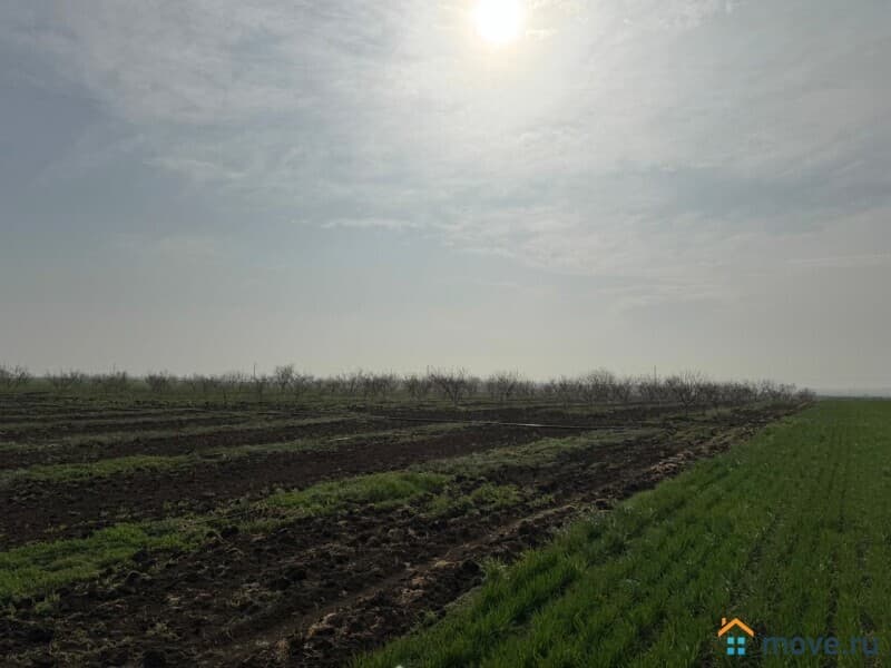 земля с/х назначения, 4.6 га