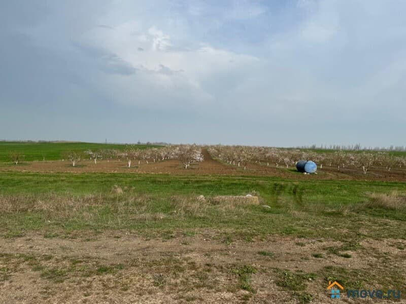 земля с/х назначения, 4.6 га