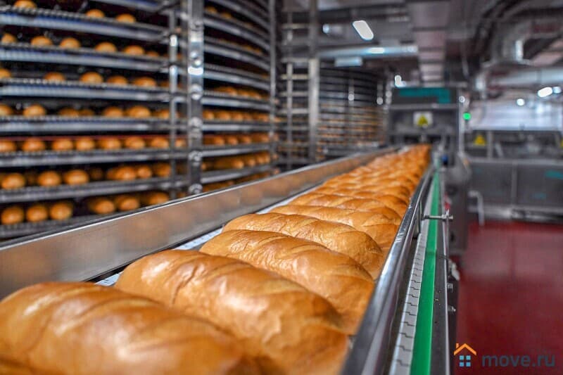 готовый бизнес, 3000 м²