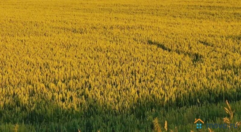 земля с/х назначения, 1200000 га